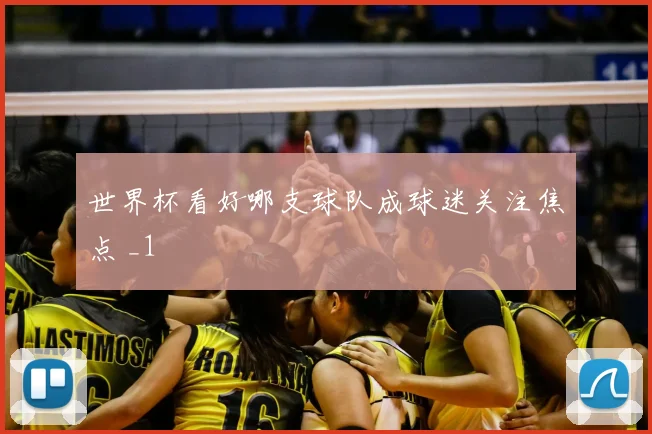 世界杯看好哪支球队成球迷关注焦点 _1