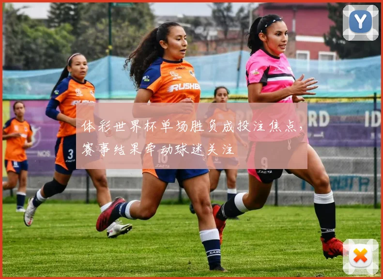 体彩世界杯单场胜负成投注焦点，赛事结果牵动球迷关注