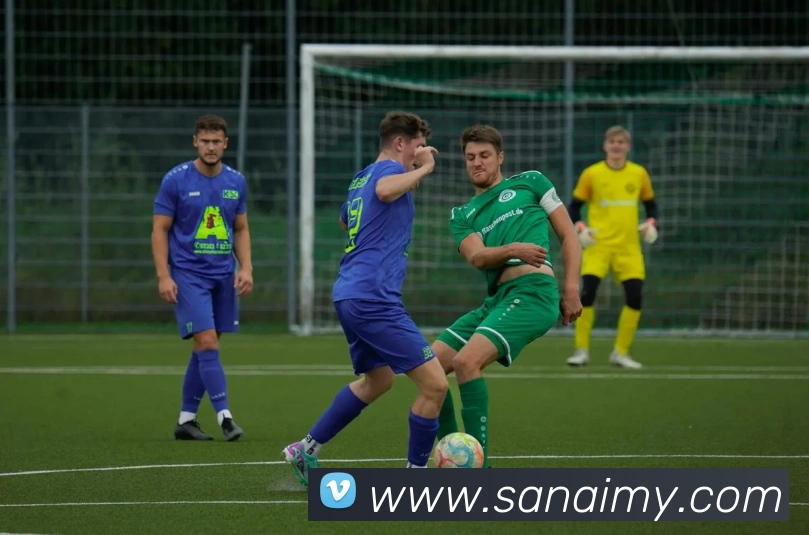 开云在线登录入口官网APP 封面图